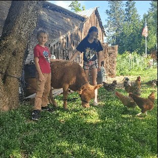 Two kids by the barn with a friendly brown calf, chickens pecking around their feet